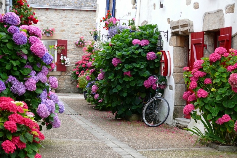 Ruelle des mouettes - Piriac sur Mer