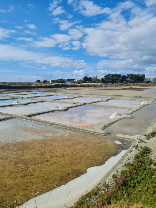 Saillé, du village au marais - Guérande