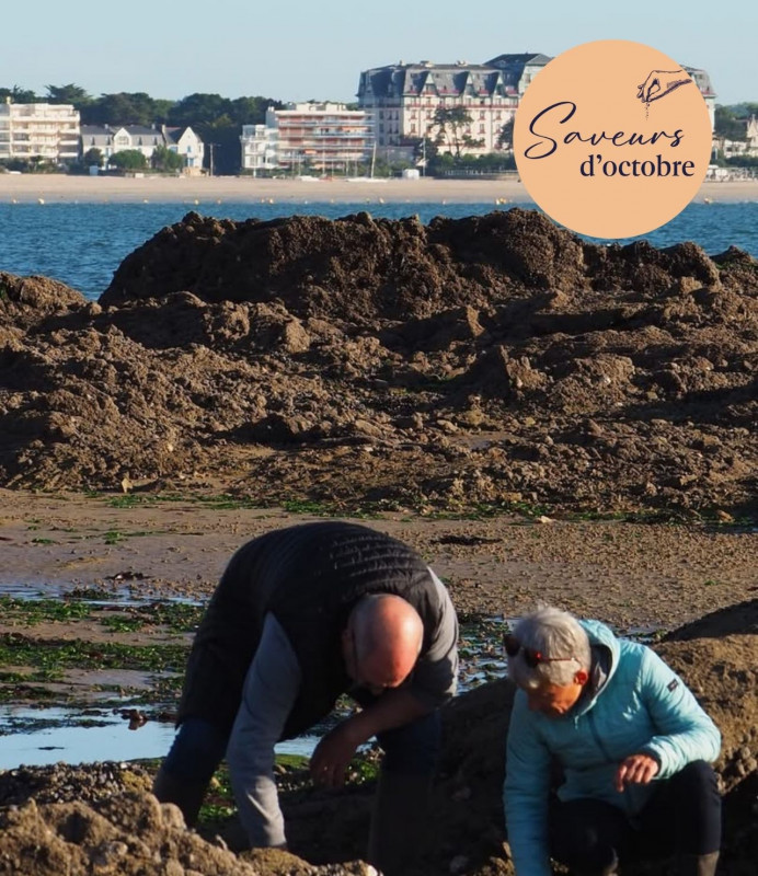 Saint-Lyphard - Saveurs sauvages entre sel et tourbe - Saveurs d'octobre