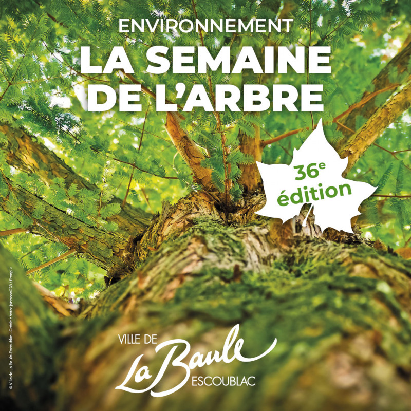 semaine-arbre-2025