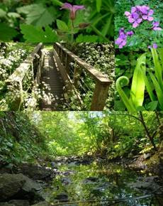 Sentier botanique de Kervin - Piriac sur Mer