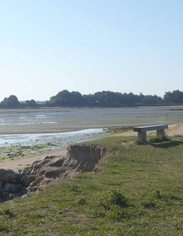 sortie-nature-cpie-loire-mesquer-26-04-2024-2584363