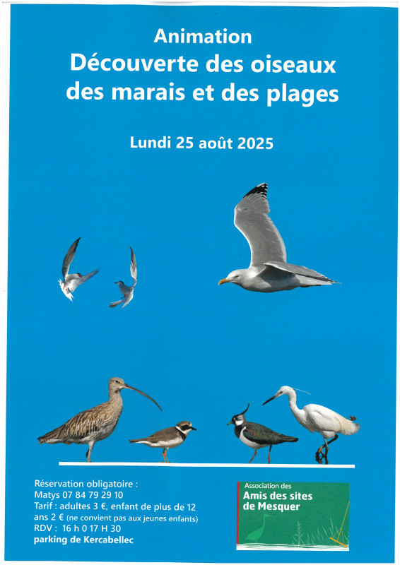 Découverte des oiseaux des marais et des plages