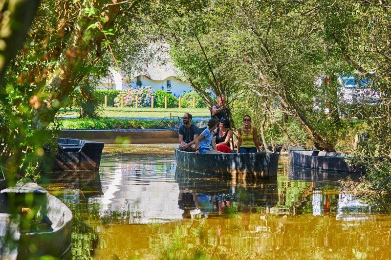 Marais de Brière