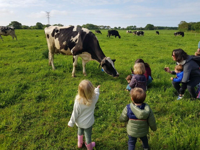 Visite guidée de la ferme - Ferme laits prés verts Guérande