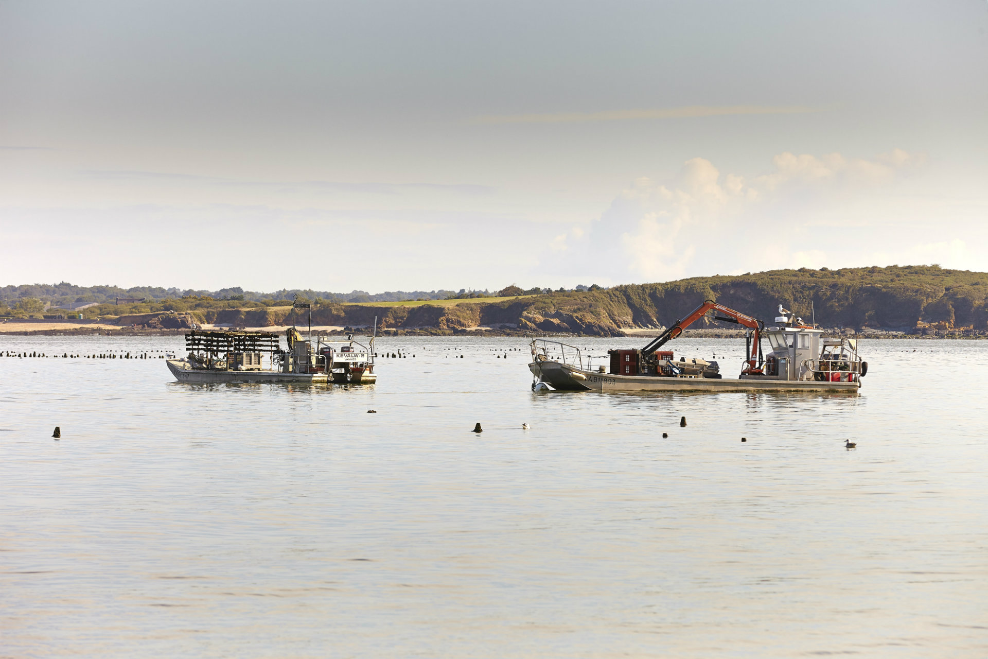 Muriel, mytilicultrice à Pénestin - moules de bouchot - © Alexandre Lamoureux