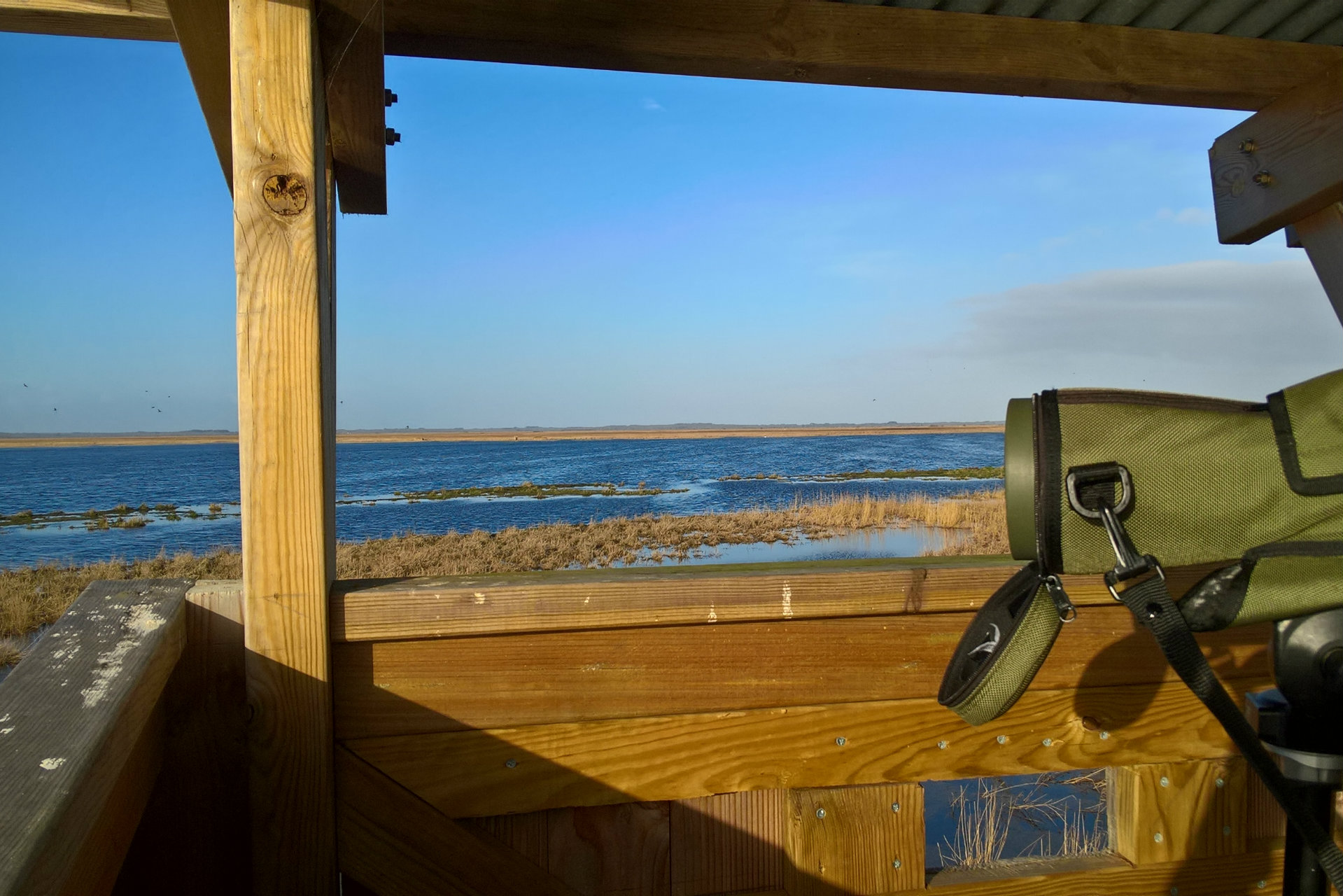 Observation des oiseaux à la RNR Marais de Brière - © M. Muller