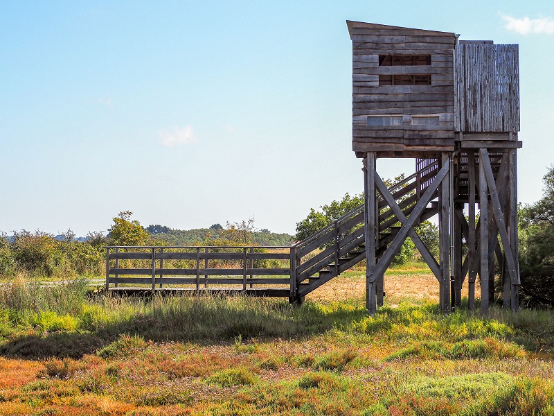 Observatoire du rostu - Mesquer - © Office de Tourisme La Baule Presqu'île de Guérande
