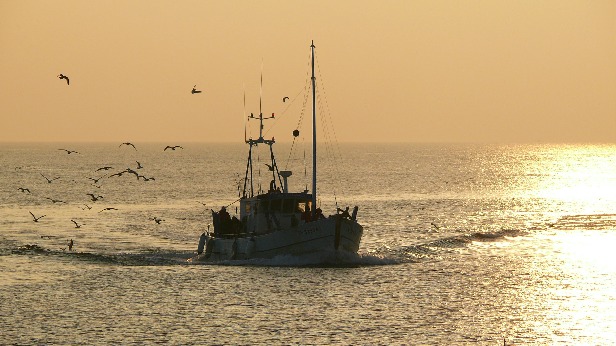 Bateau de pêche au large de La Turballe - © Bruno Schoch