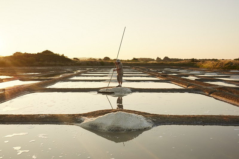 Paludier dans marais salants de Guérande - © Alexandre Lamoureux