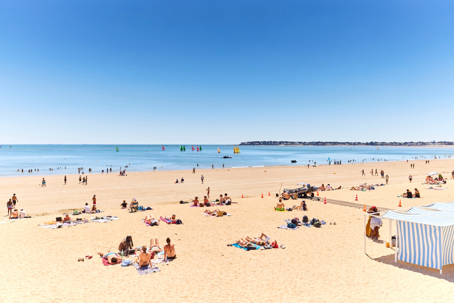 Protégeons nos plages - Chiens limités sur la plage - © Alexandre Lamoureux