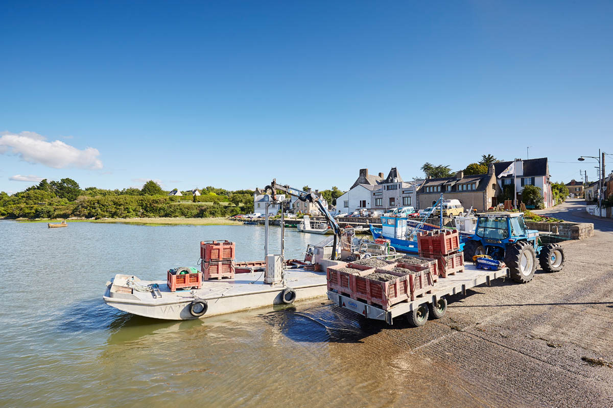 Der Hafen von Tréhiguier in Pénestin - © Alexandre Lamoureux