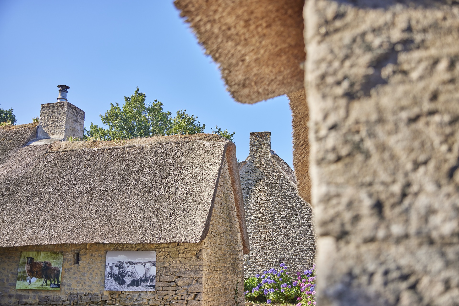 Village de Kerhinet à saint-Lyphard - © Alexandre Lamoureux